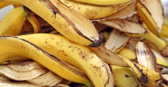 Como reaproveitar cascas de bananas | Desperdício zero!