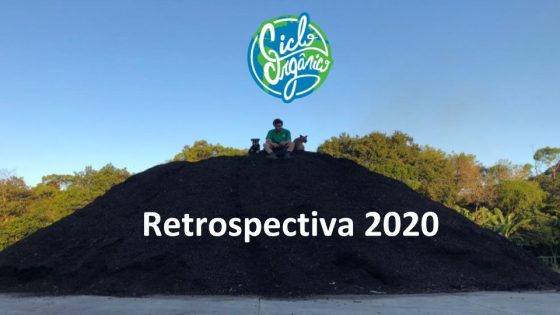Retrospectiva 2020 e Perspectiva 2021