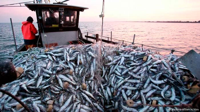 Acordo global para prevenir pesca predatória emperra na OMC