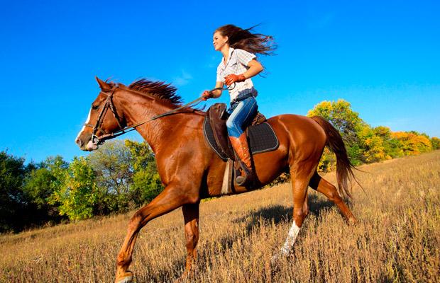 Cavalos ajudam na saúde física e mental com atividades em MT